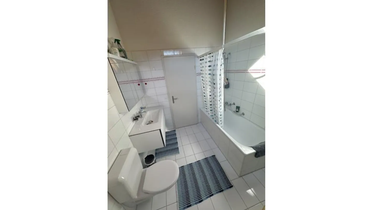 3 ROOM ATTIC APARTMENT IN KAUFDORF (BE), FURNISHED, TEMPORARY - Photo 8 of 9