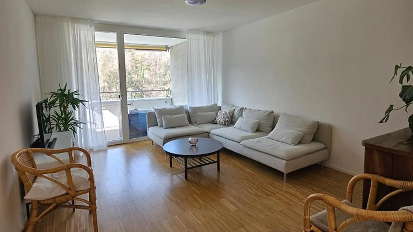 4½ ROOM APARTMENT IN ZURICH - DISTRICT 2 LEIMBACH, FURNISHED, TEMPORARY - Photo 1 of 10