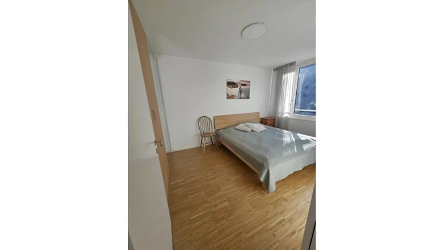 4½ ROOM APARTMENT IN ZURICH - DISTRICT 2 LEIMBACH, FURNISHED, TEMPORARY - Photo 3 of 10
