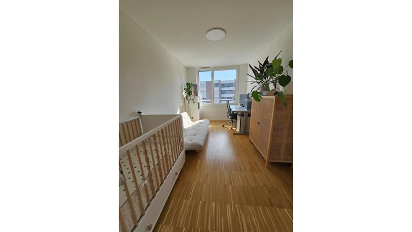 4½ ROOM APARTMENT IN ZURICH - DISTRICT 2 LEIMBACH, FURNISHED, TEMPORARY - Photo 5 of 10