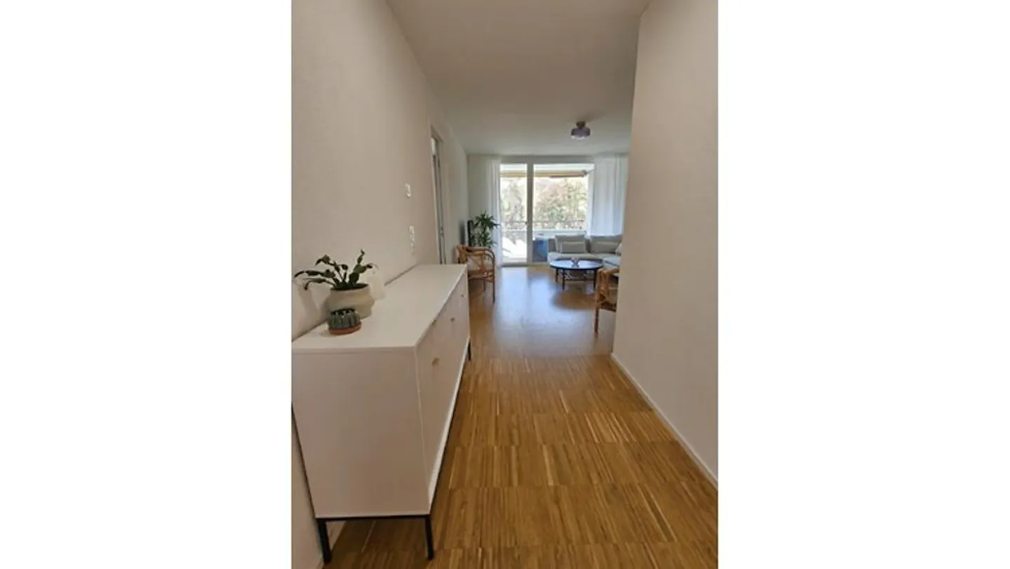 4½ ROOM APARTMENT IN ZURICH - DISTRICT 2 LEIMBACH, FURNISHED, TEMPORARY - Photo 8 of 10