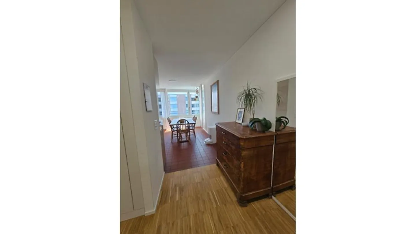4½ ROOM APARTMENT IN ZURICH - DISTRICT 2 LEIMBACH, FURNISHED, TEMPORARY - Photo 9 of 10