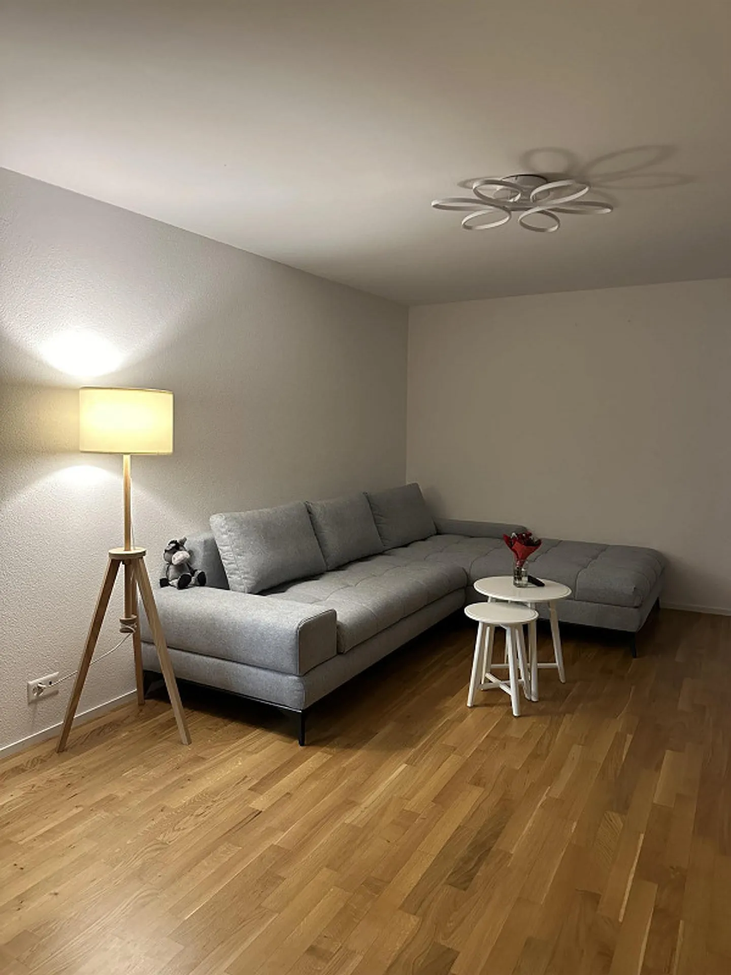 Charmante Wohnung in Hinwil - Foto 8 von 9