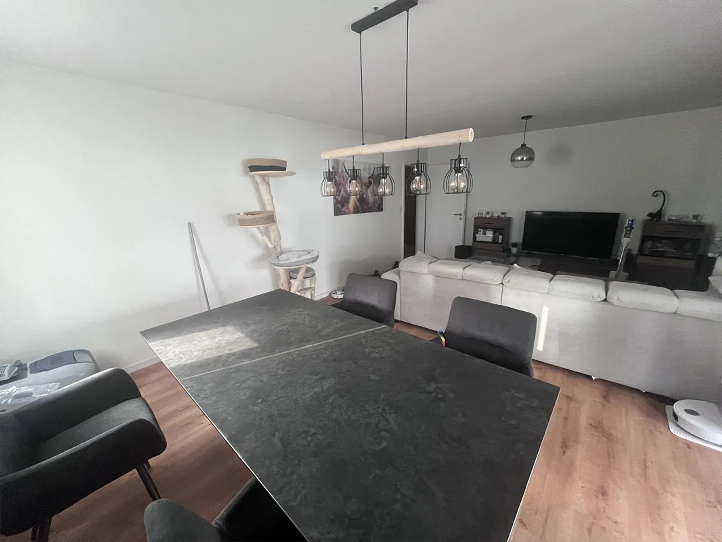 Bright, modern apartment with large living/dining room and balcony - Photo 4 of 12