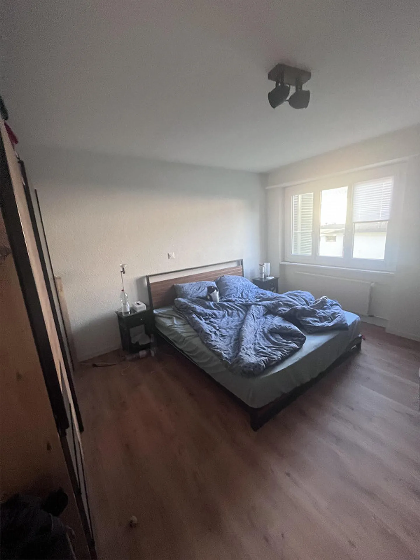 Bright, modern apartment with large living/dining room and balcony - Photo 9 of 12