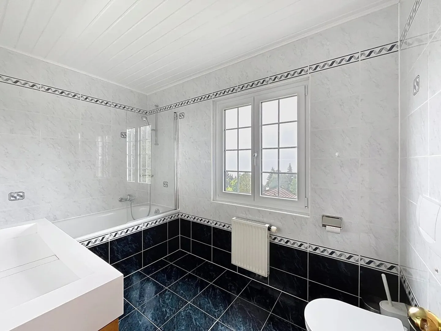 Flucht in die Höhen von Montreux - Photo 13 sur 13