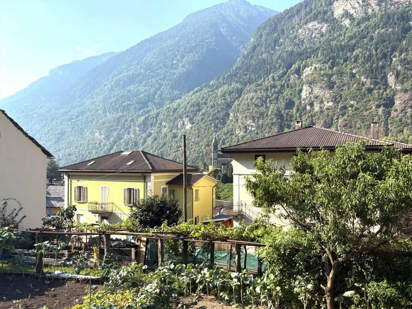 EDIFICA IN ZONA RESIDENZIALE SOLEGGIATA IMMERSA NEL VERDE - Foto 4 di 9