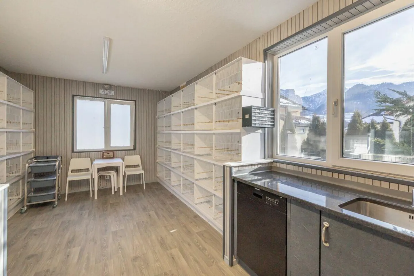 5.5-Room Corner House with Apartment - Photo 12 of 13