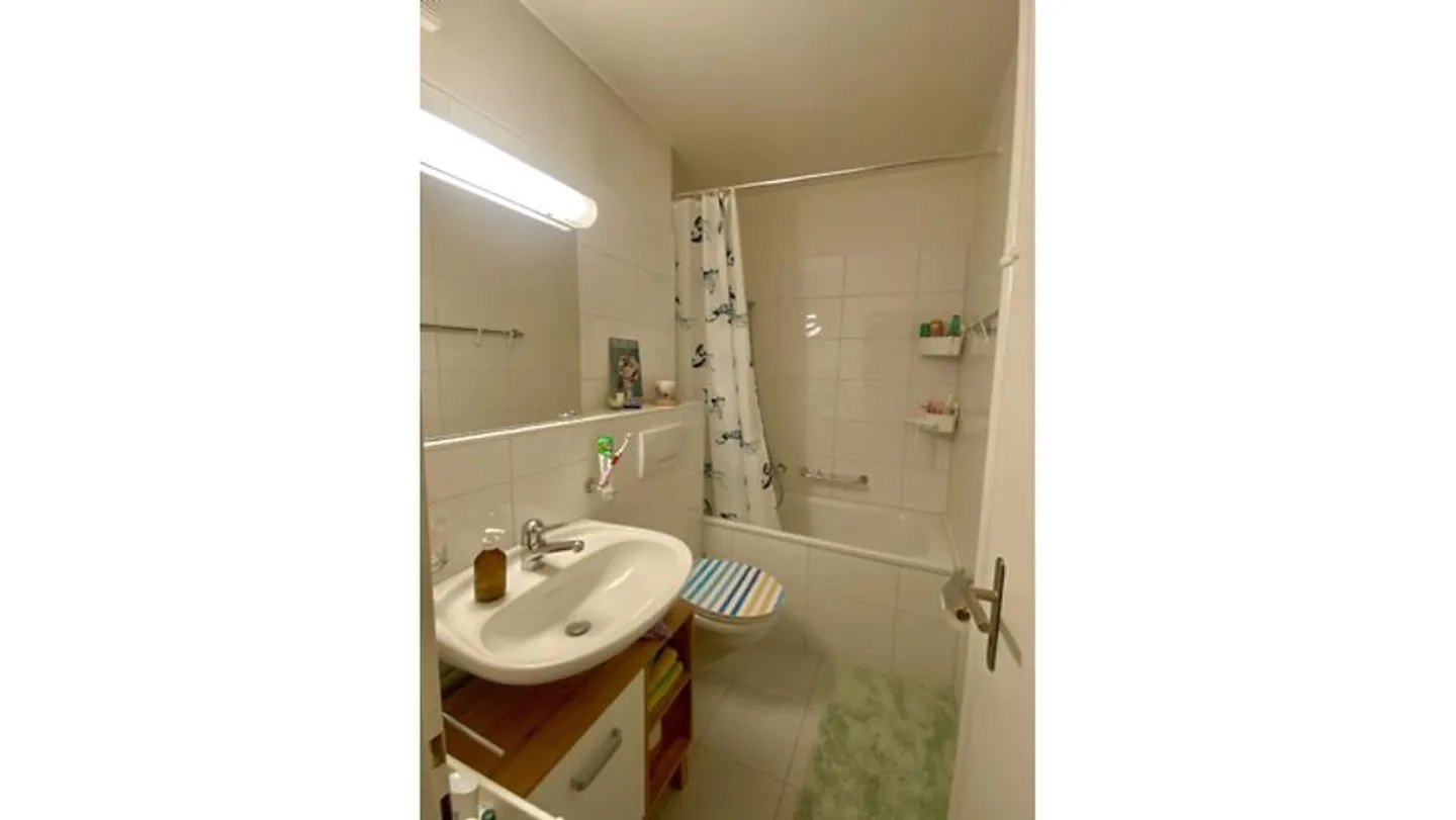 APPARTAMENTO 2 STANZE A BERN - LÄNGGASSE, ARREDATO, TEMPORANEO - Foto 5 di 7