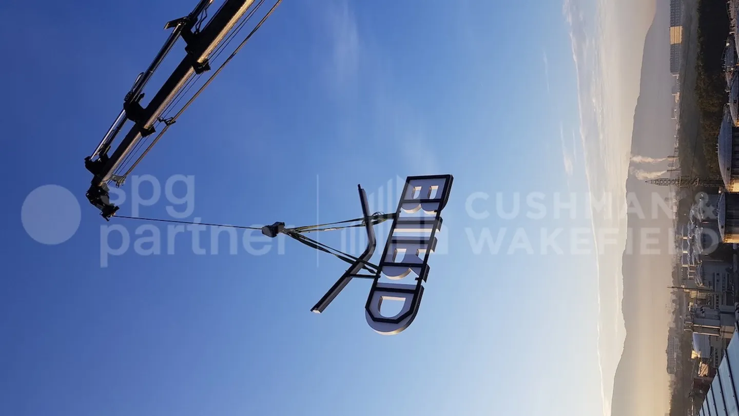 Bird - Photo 9 of 12