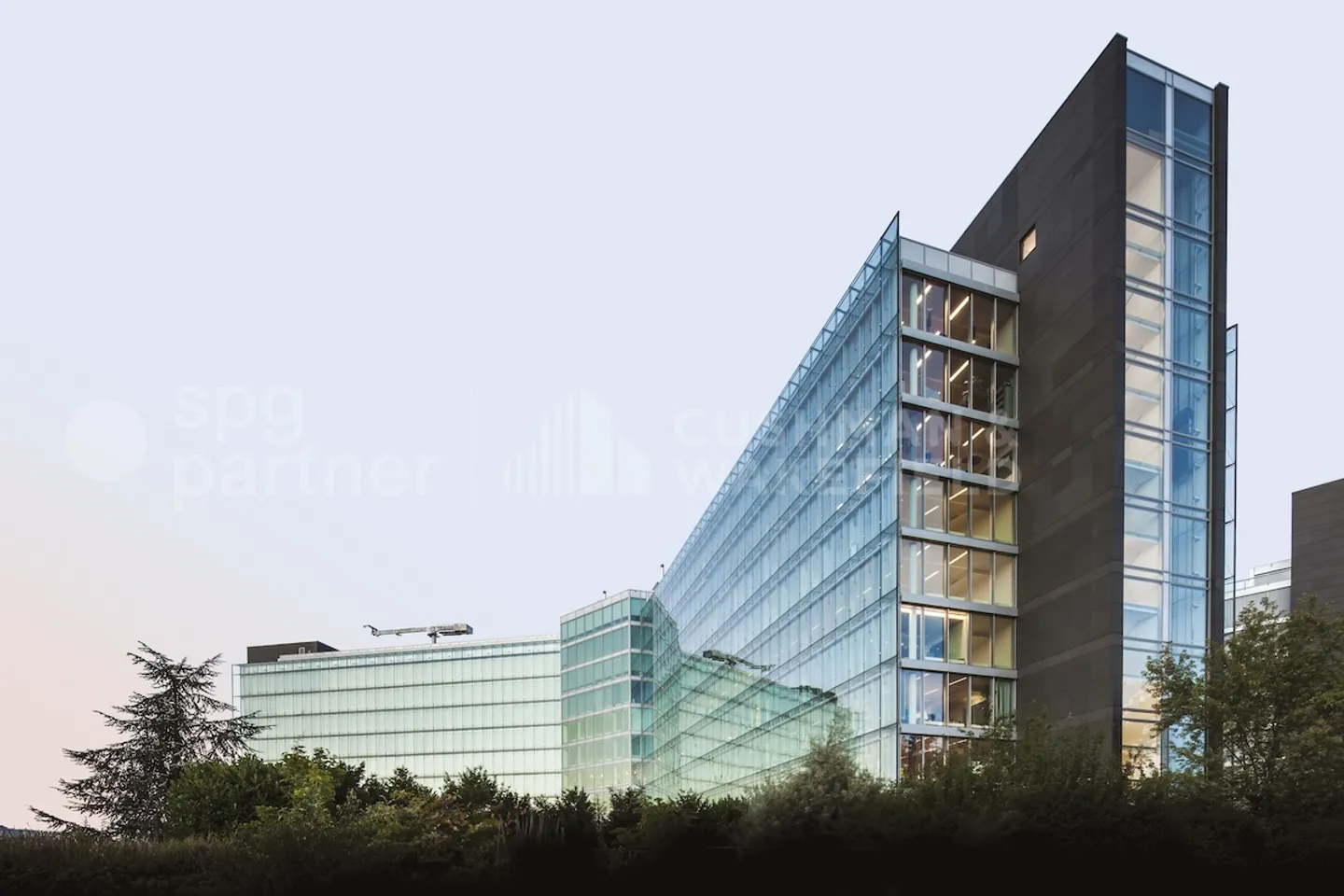 Bird - Photo 2 of 12