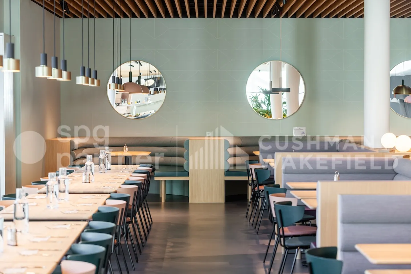 Bird - Photo 5 of 12