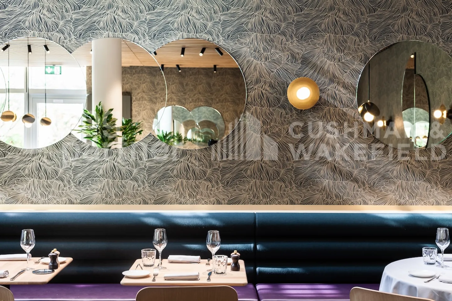 Bird - Photo 6 of 12