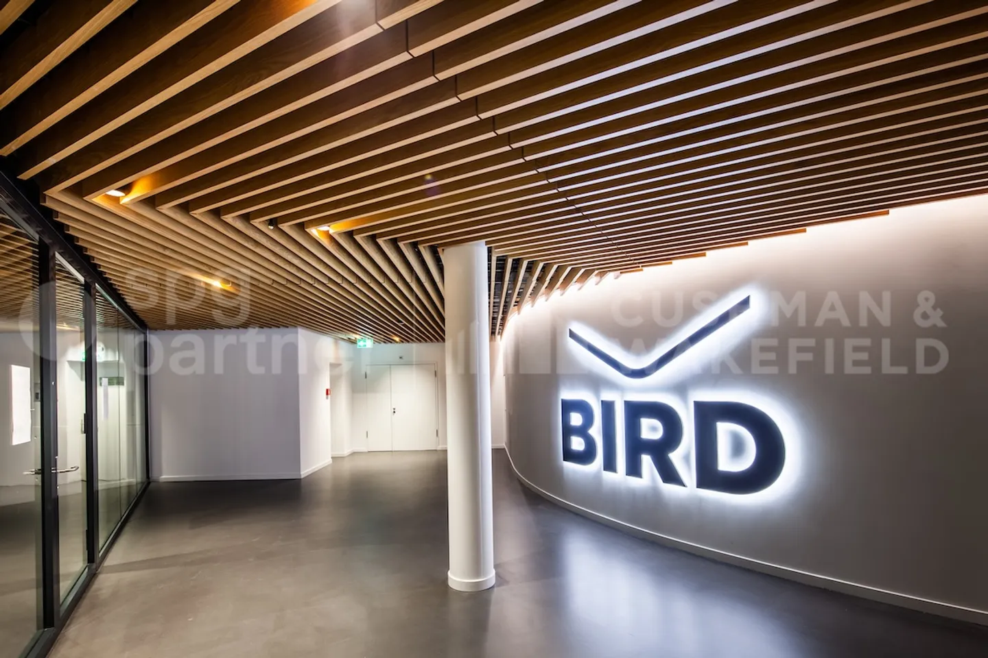 Bird - Photo 7 of 12