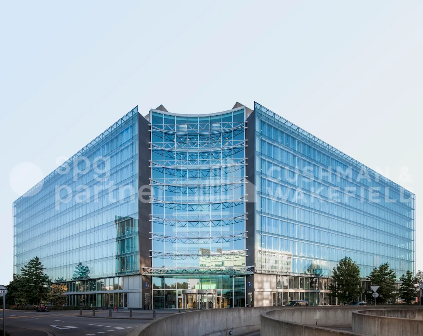 Bird - Photo 1 of 12