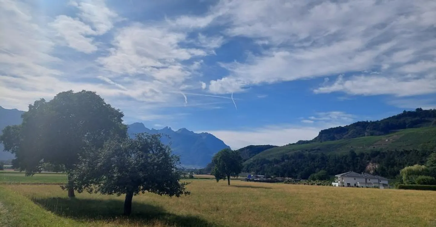 La tua villa bifamiliare nel cuore del Chablais vodese - Una è già venduta - Foto 4 di 7