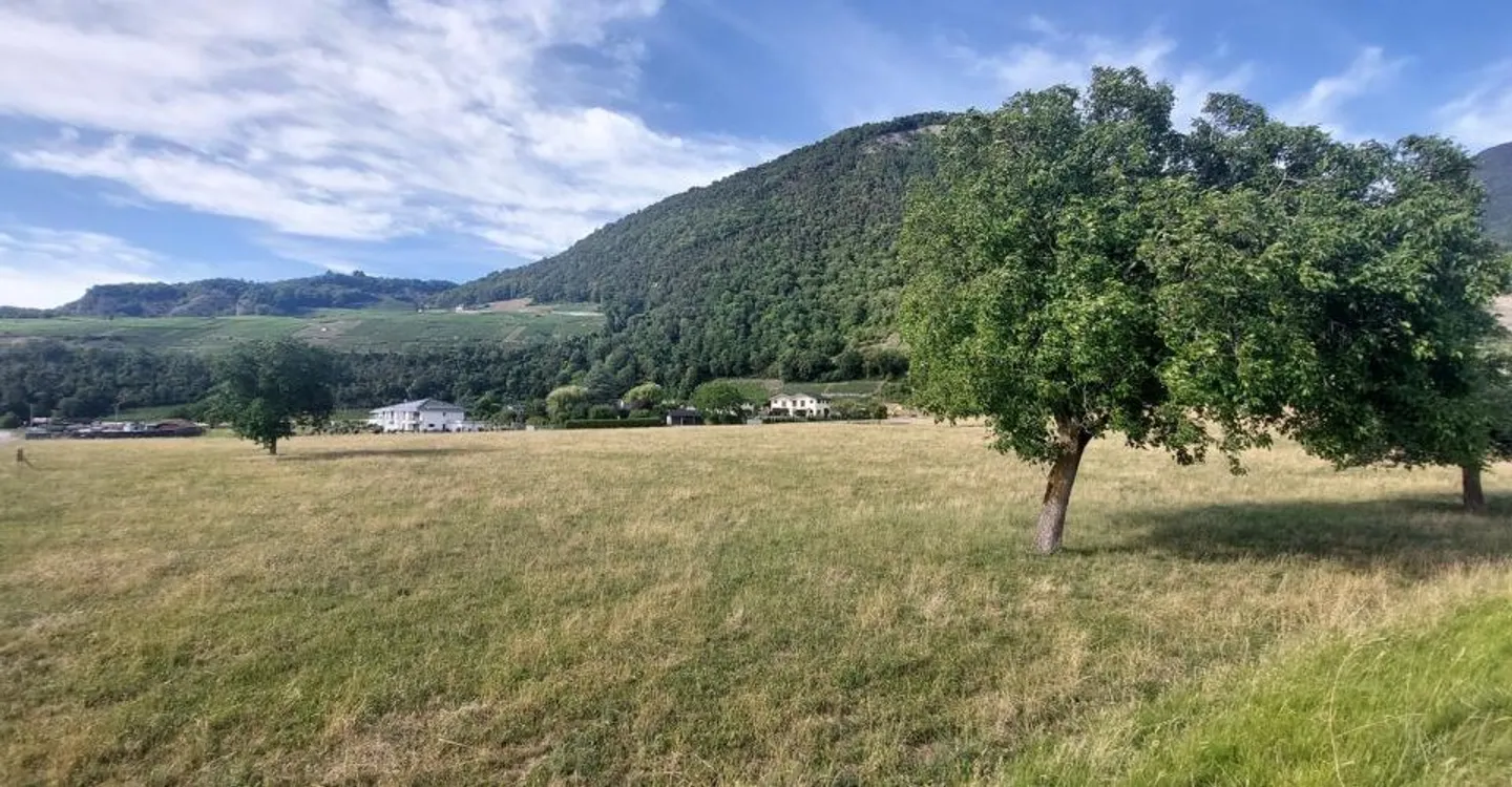 La tua villa bifamiliare nel cuore del Chablais vodese - Una è già venduta - Foto 5 di 7