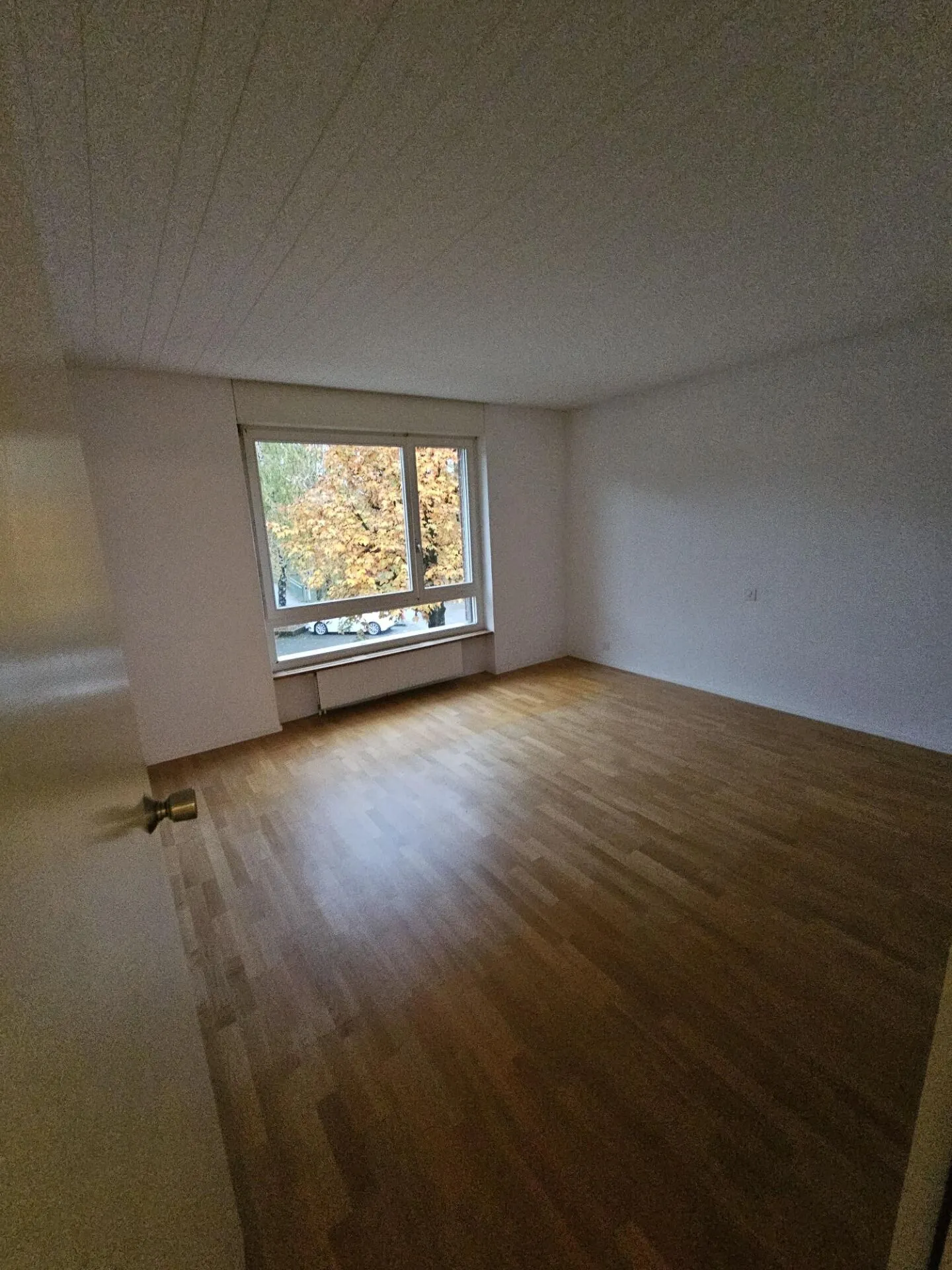 Freshly renovated 3.5-room apartment with balcony, fireplace, and Zihl view - ideal for couples or singles! - Photo 5 of 6