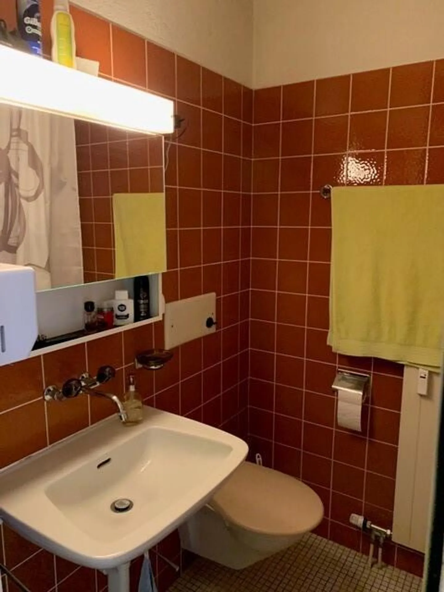 1-room apartment in the village center of Arlesheim - Photo 6 of 6