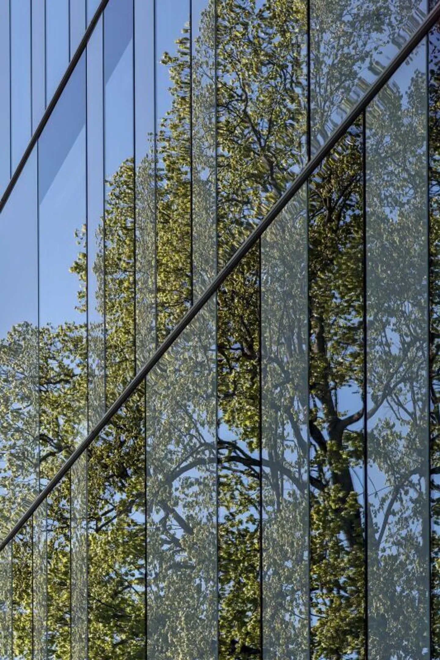 Ufficio Moderno Vicino al Lago - Foto 6 di 10