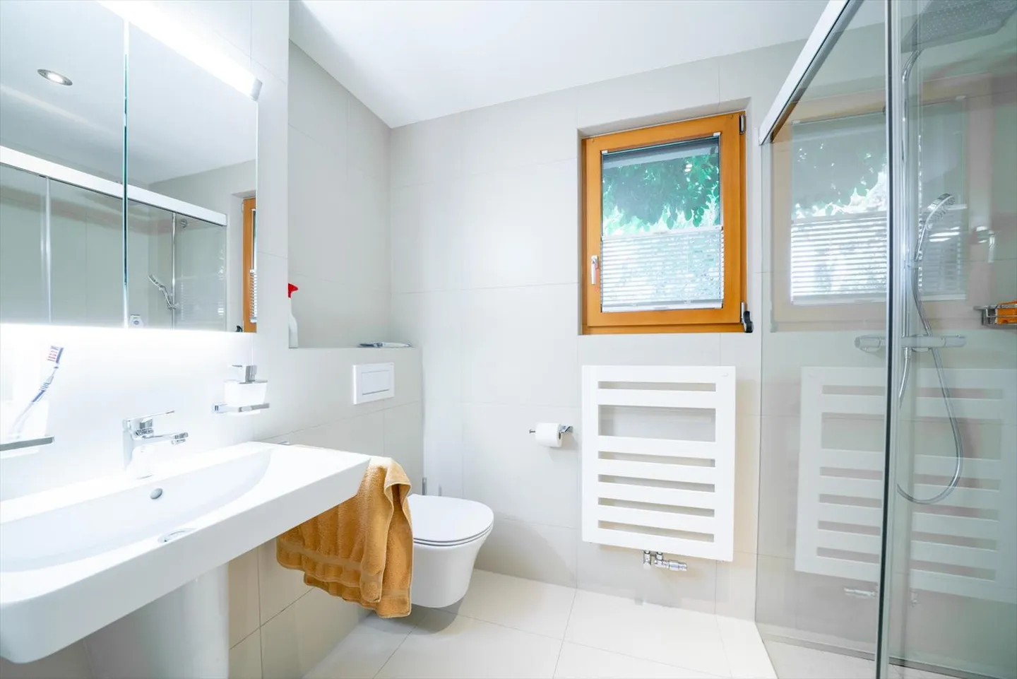 Bella villa Vaudoise individuale a Chéserex - Foto 5 di 10