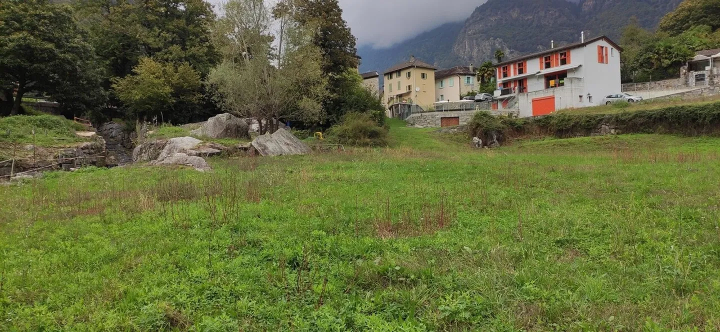 Between Sun and Nature - Photo 10 of 12