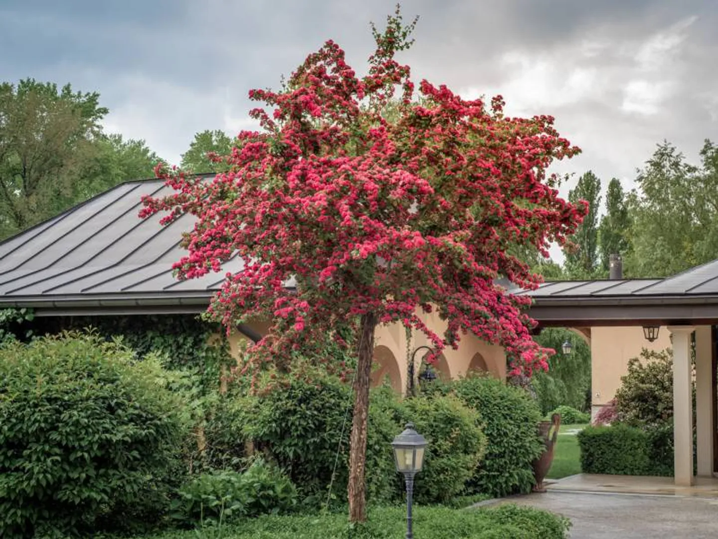 Residenza di carattere con parco privato e accesso diretto al lago - Foto 3 di 12