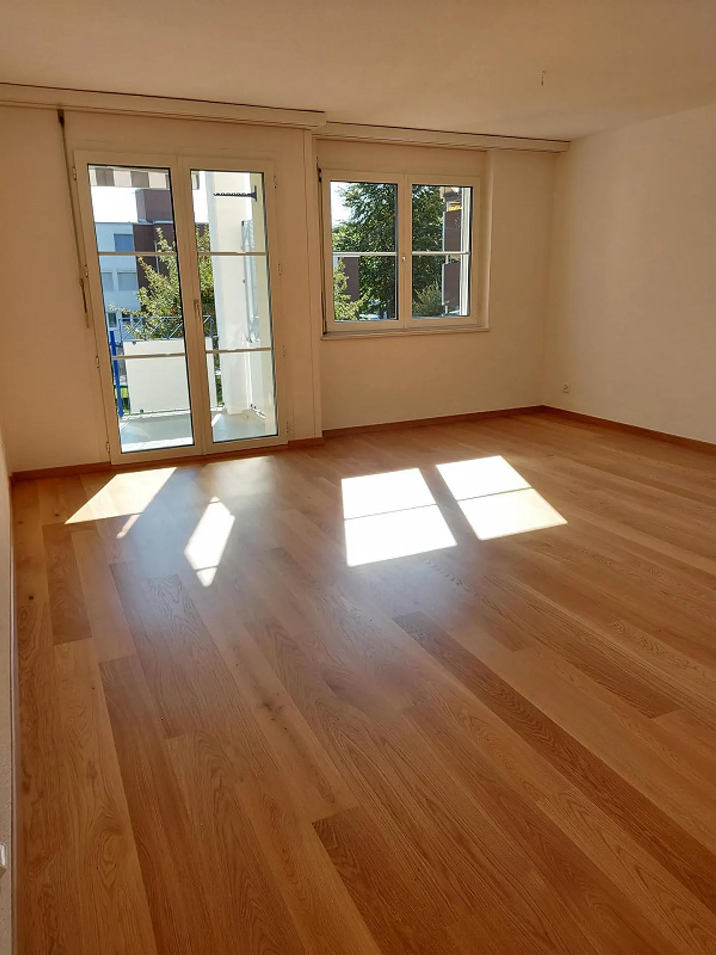 Sunny 2.5 Room Apartment - Photo 5 of 8