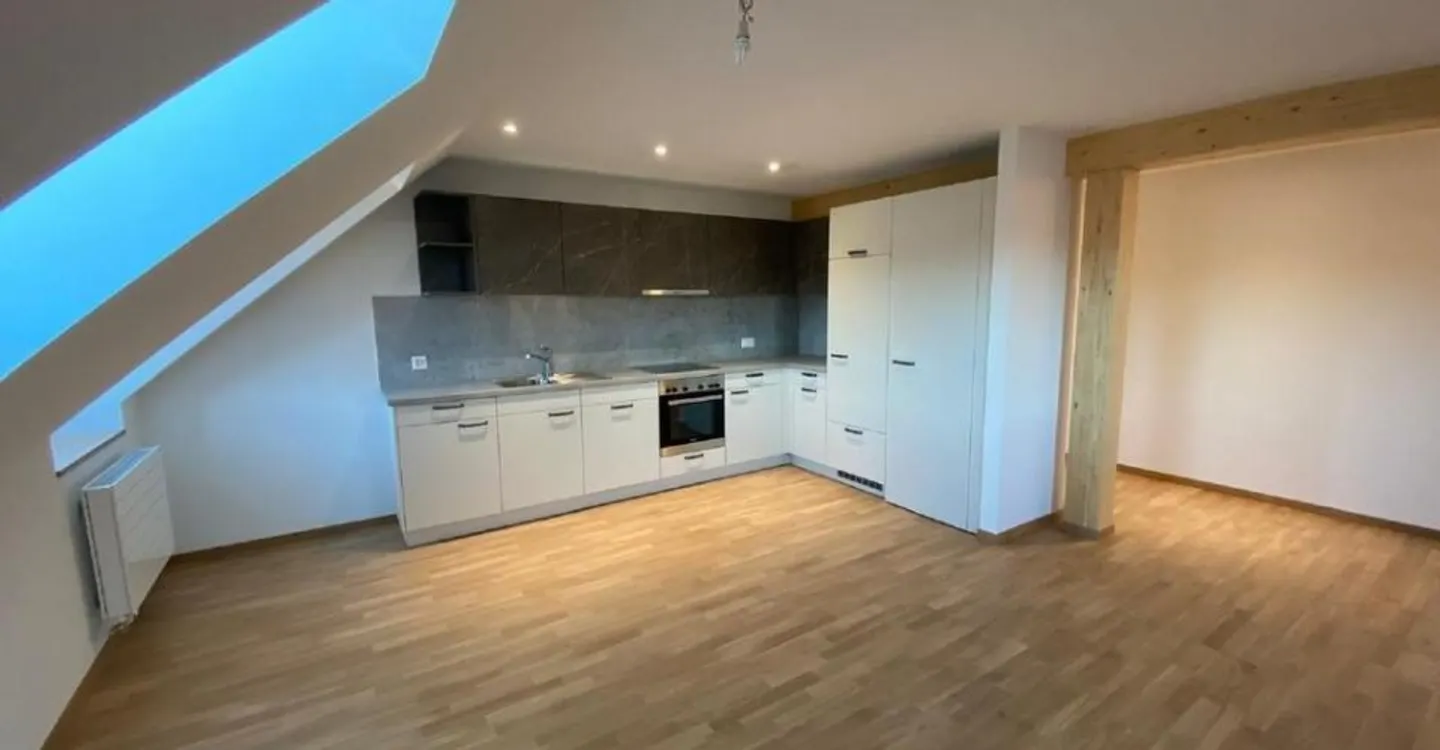 NEW 2024 APARTMENT IN THE ATTIC WITH ELEVATOR - Photo 1 of 10