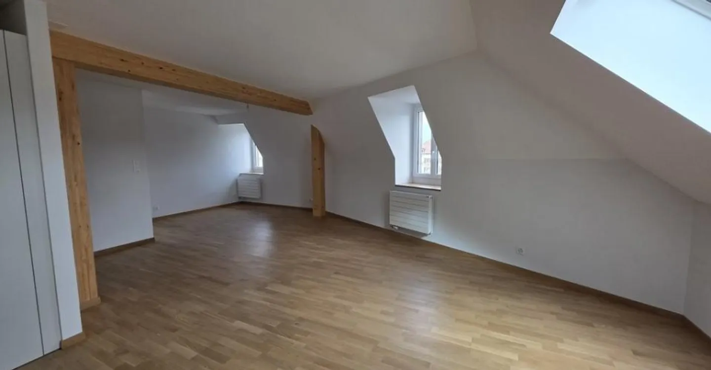 NEW 2024 APARTMENT IN THE ATTIC WITH ELEVATOR - Photo 2 of 10
