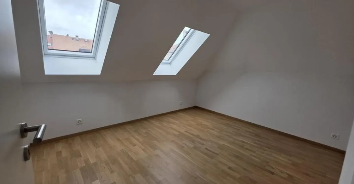 NEW 2024 APARTMENT IN THE ATTIC WITH ELEVATOR - Photo 3 of 10