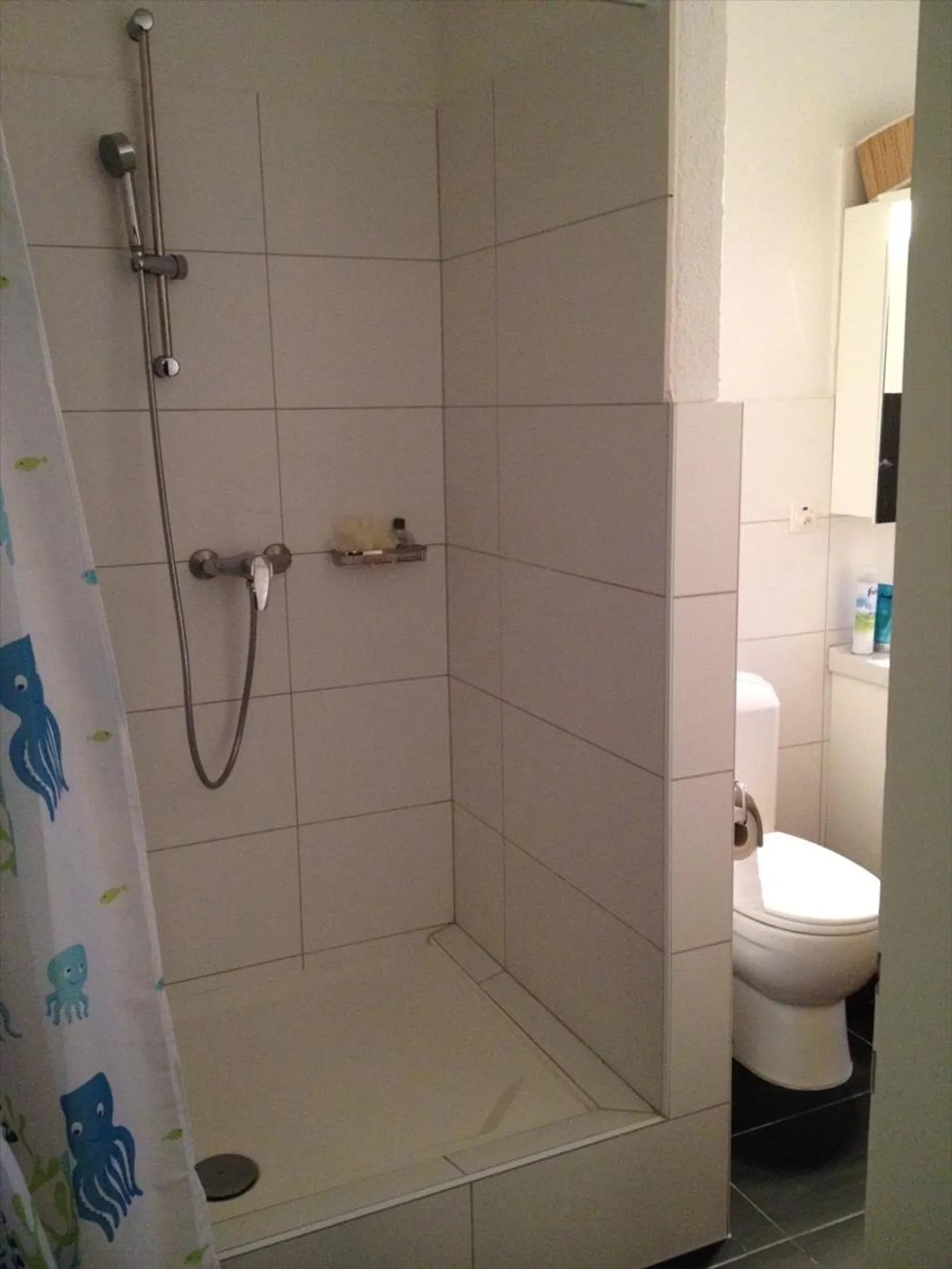 Appartamento 4.5 stanze - Foto 9 di 9