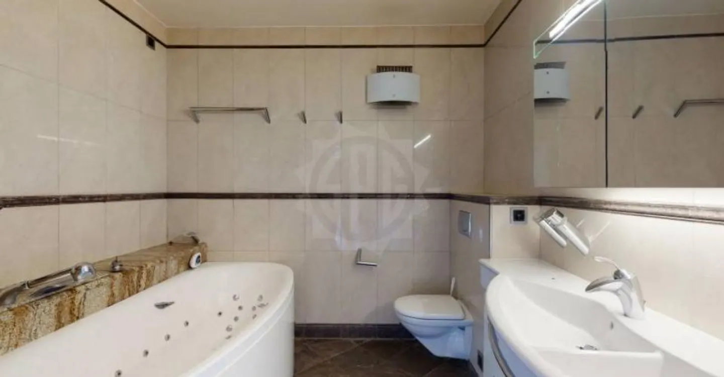 Magnificent apartment - Geneva - Photo 7 of 10