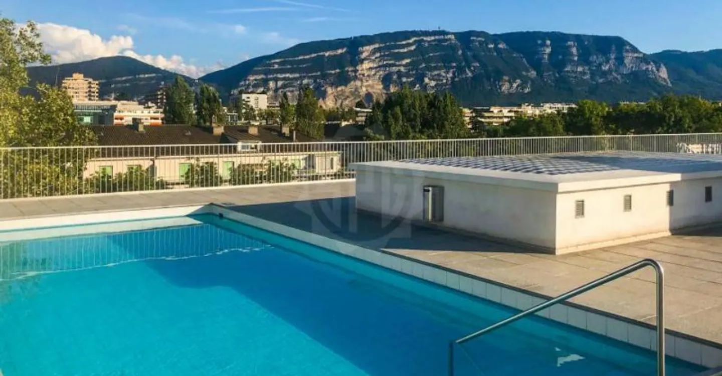 Magnificent apartment - Geneva - Photo 8 of 10