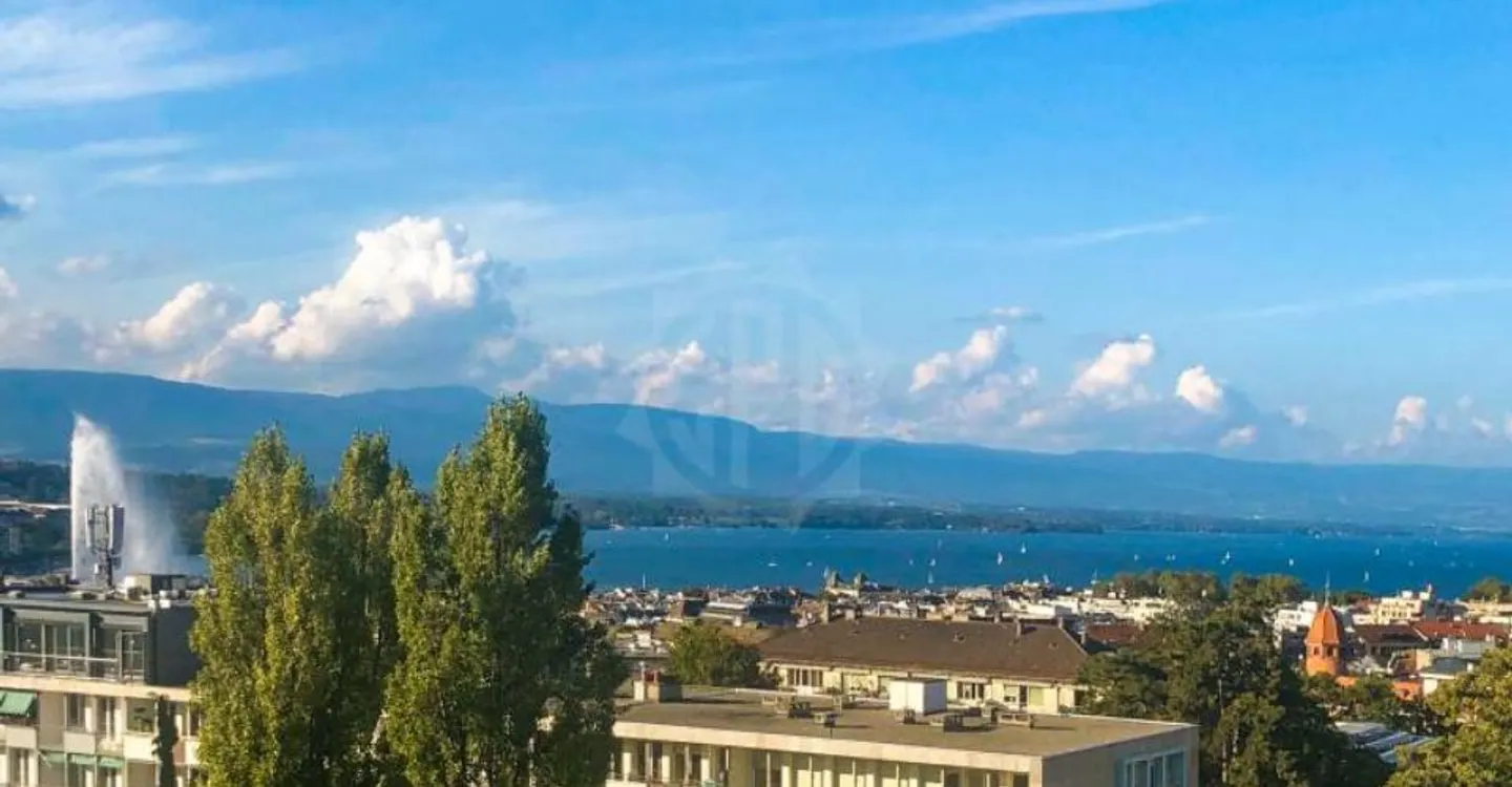 Magnificent apartment - Geneva - Photo 10 of 10