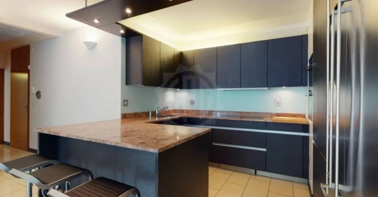 Magnificent apartment - Geneva - Photo 1 of 10