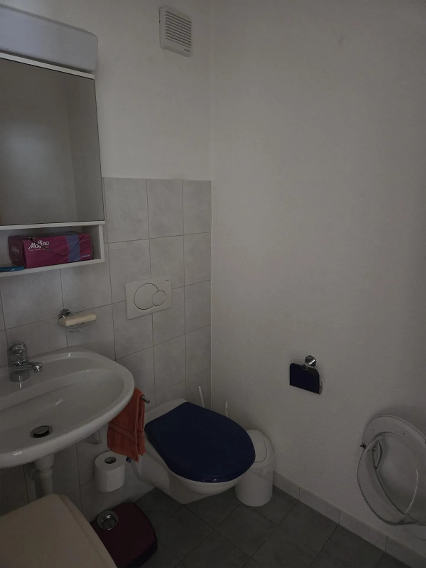 Appartamento 4.5 stanze - Foto 3 di 7