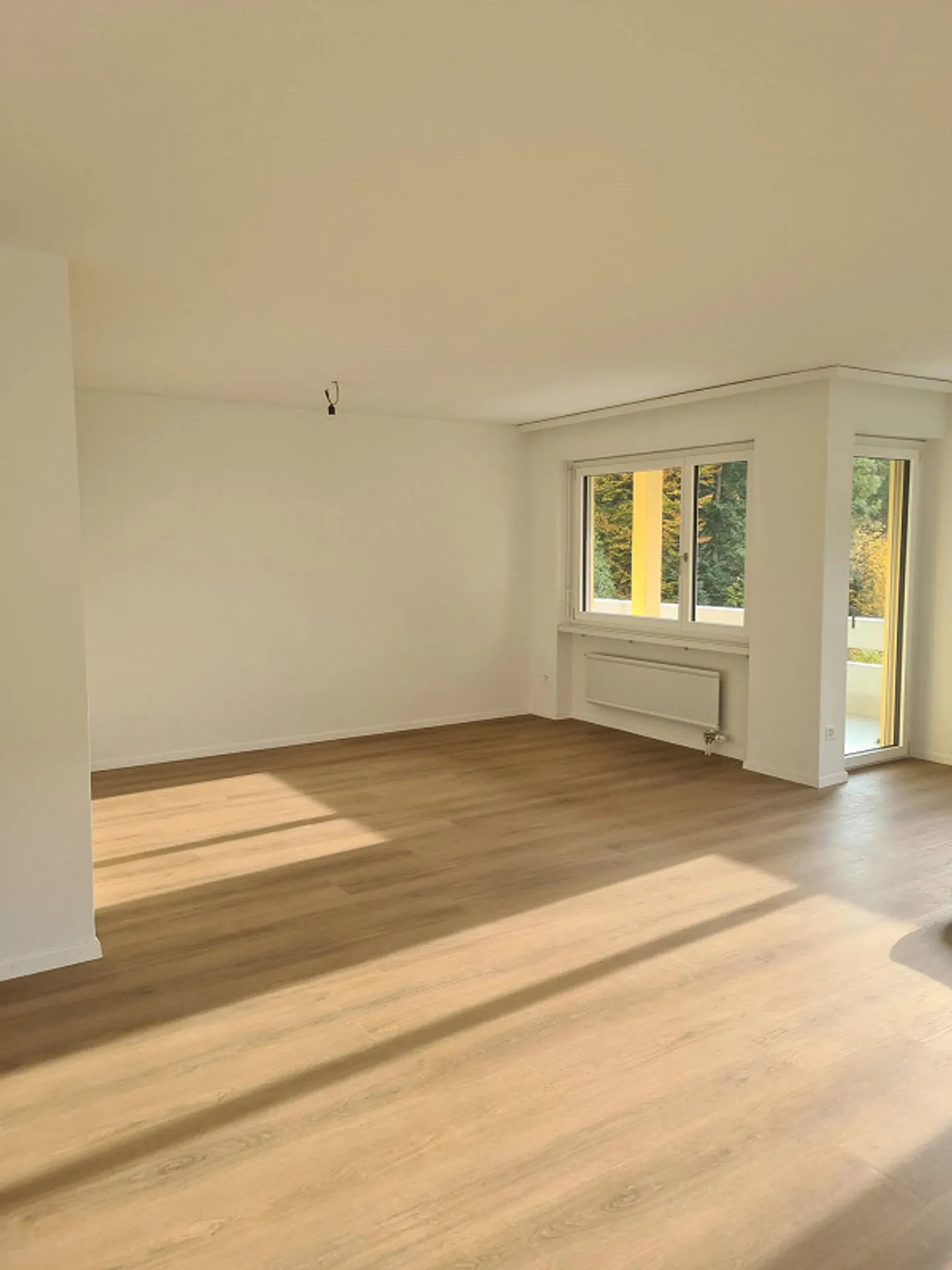 3.5 Room Apartment, Top Floor - Photo 4 of 21