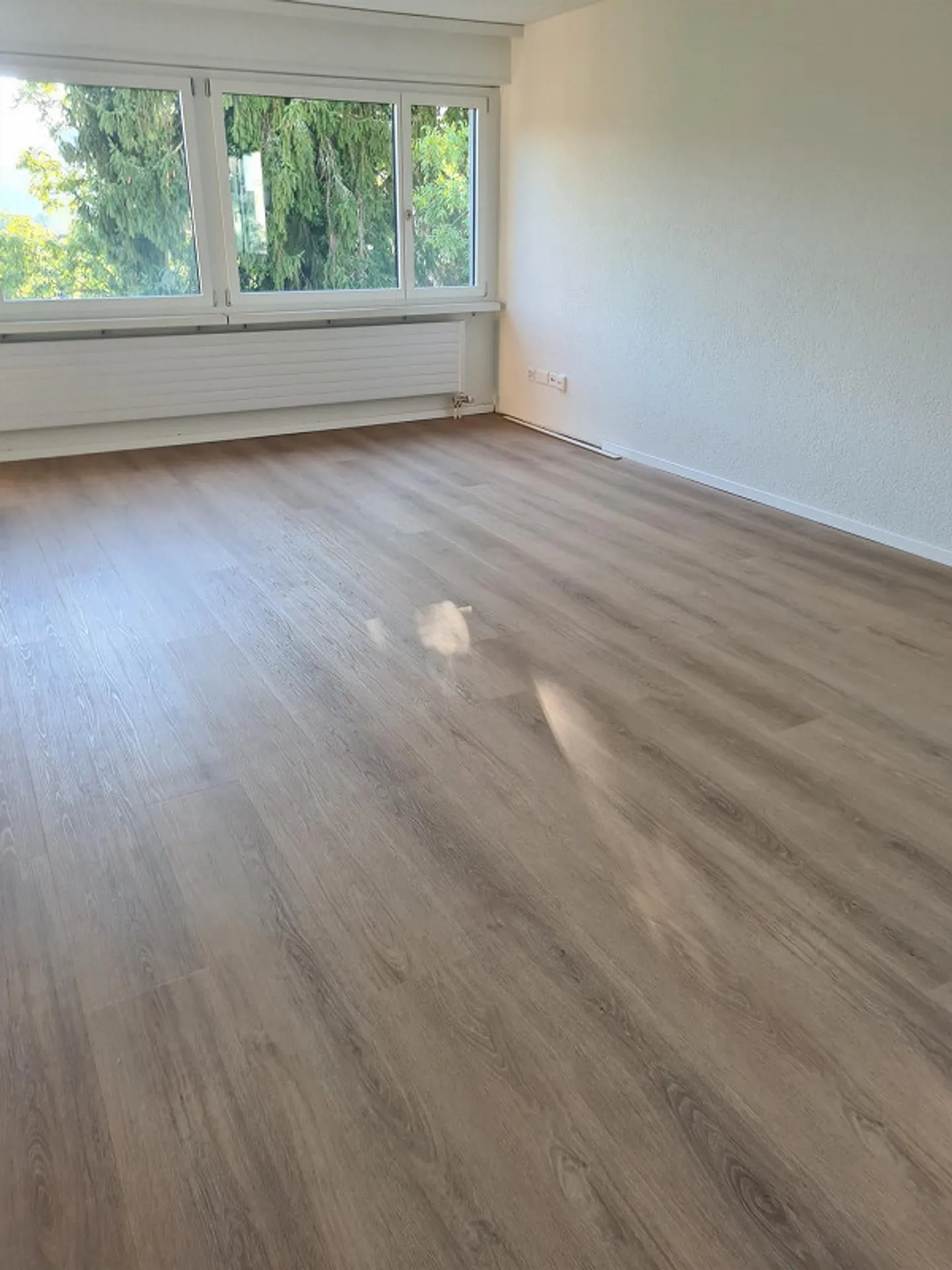 3.5 Room Apartment, Top Floor - Photo 5 of 21