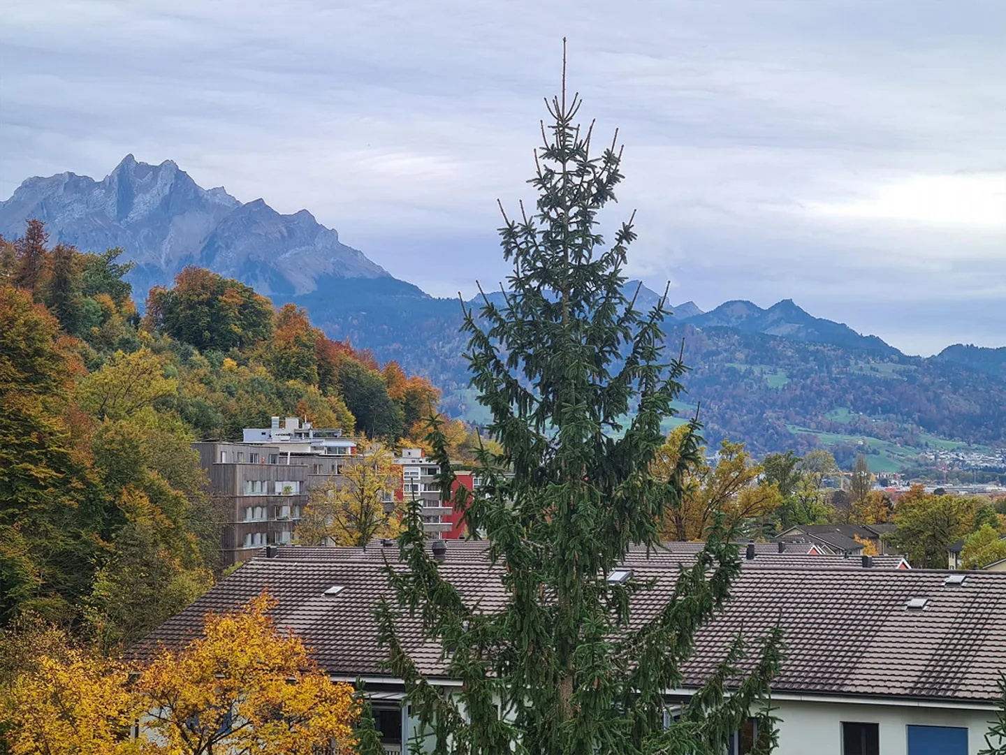 3.5 Room Apartment, Top Floor - Photo 17 of 21