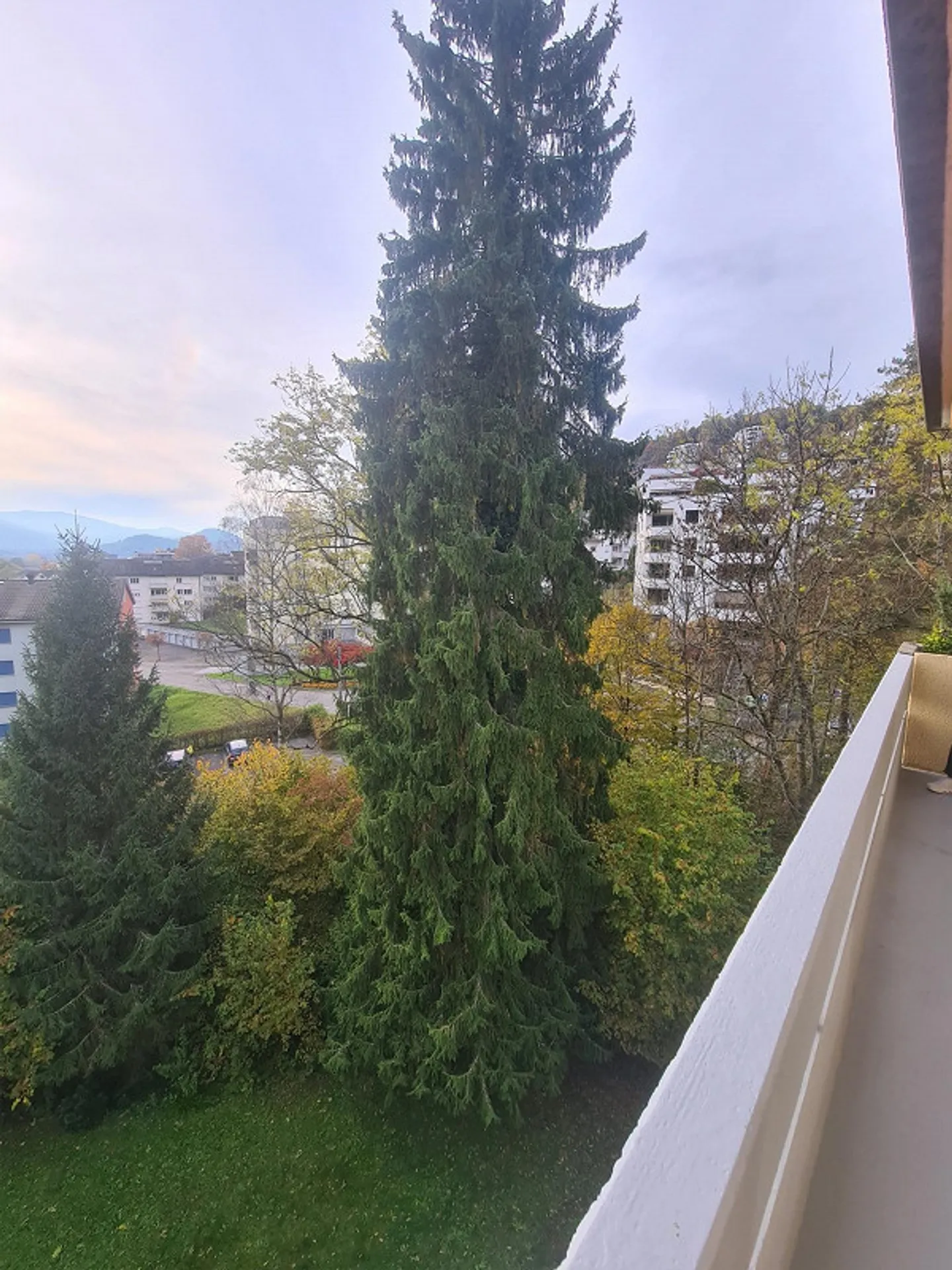 3.5 Room Apartment, Top Floor - Photo 18 of 21