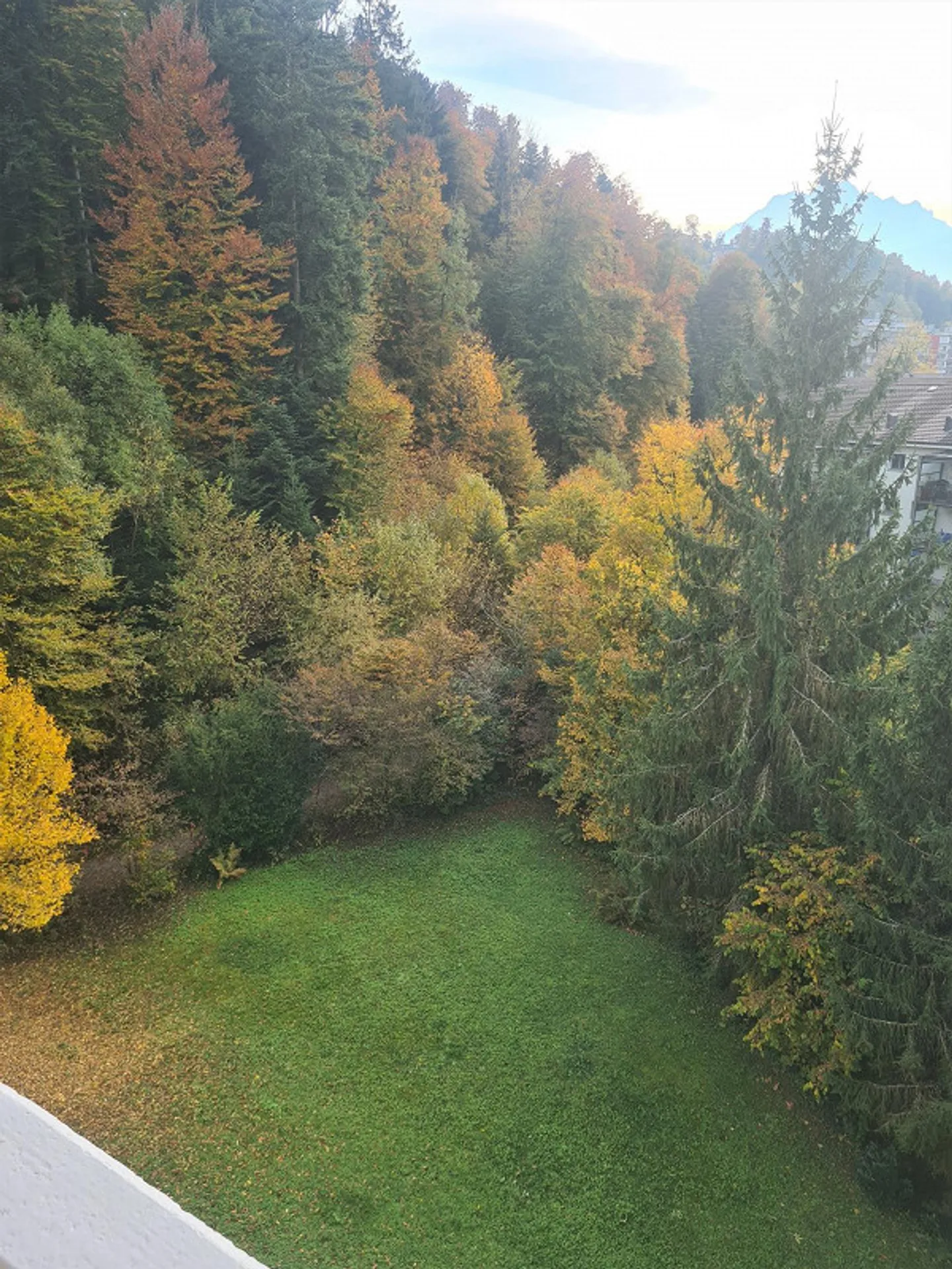 3.5 Room Apartment, Top Floor - Photo 20 of 21