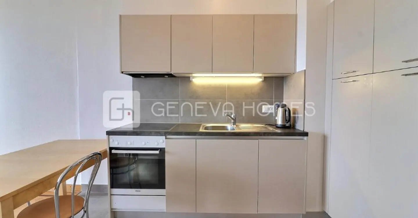 Appartement lumineux avec terrasse - Photo 4 sur 8