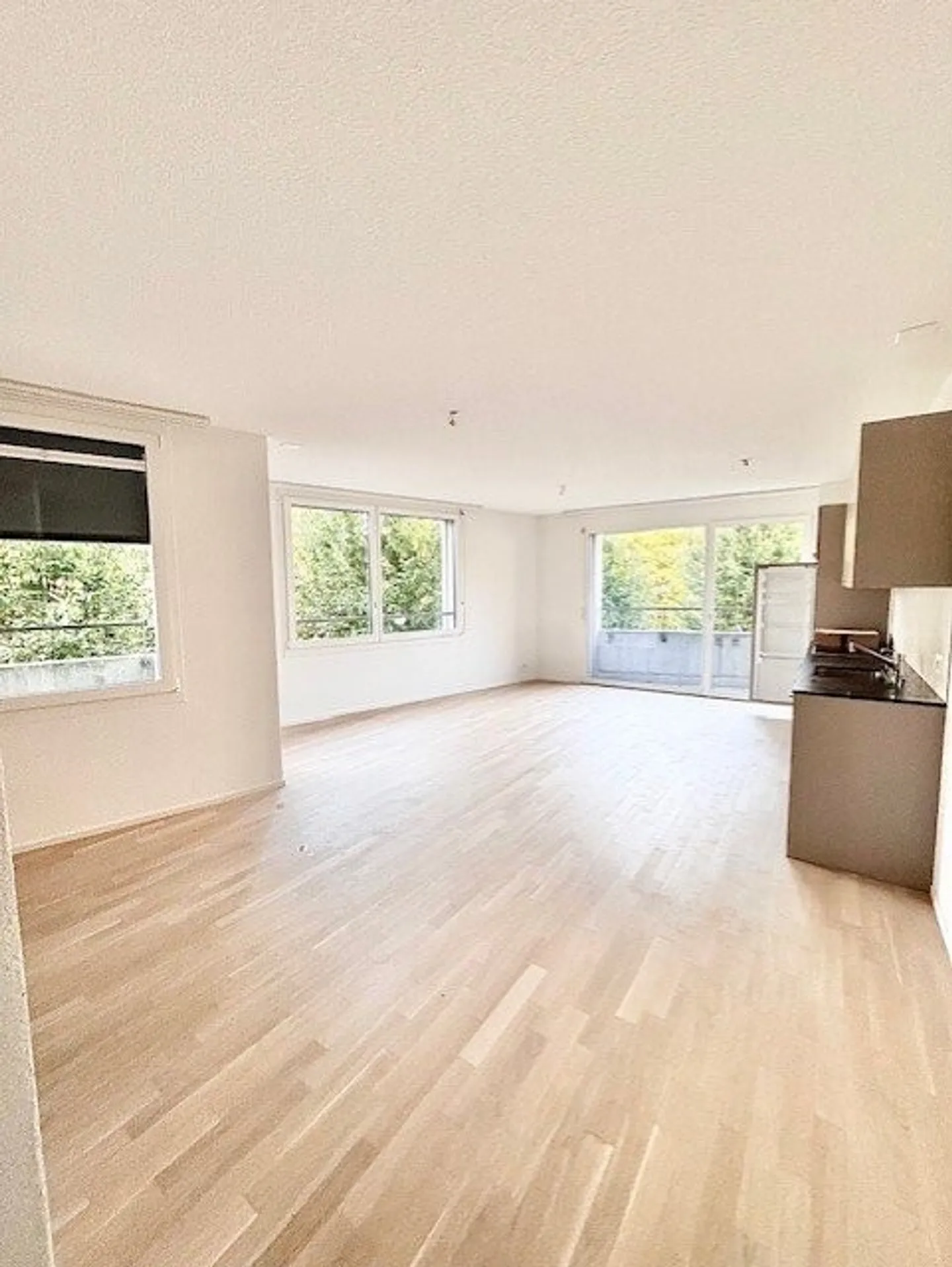 Singlewohnung sucht Bewohner - Foto 5 von 6