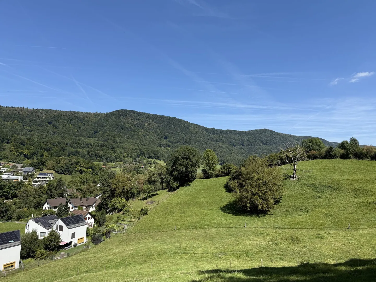 Nature-oriented living with high living comfort - Photo 6 of 9