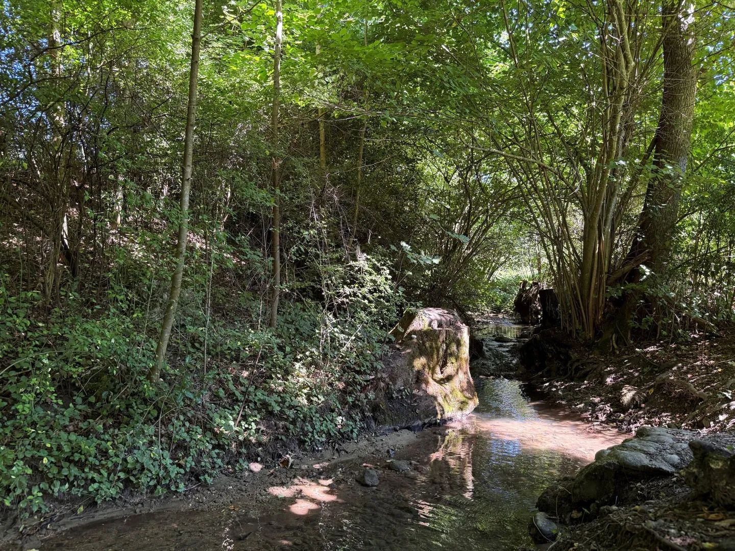 Nature-oriented living with high living comfort - Photo 9 of 9