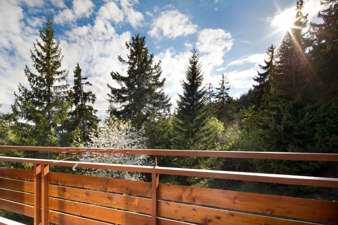 50 meters from the ski lifts 4.5 rooms for rent by the week. - Photo 14 of 15