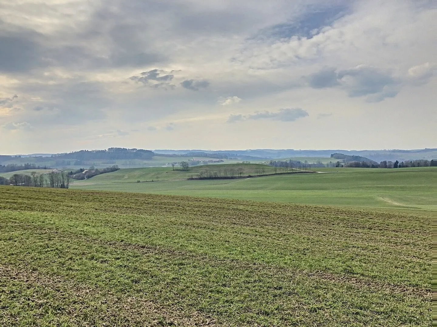 Appartamento in affitto - Foto 2 di 5