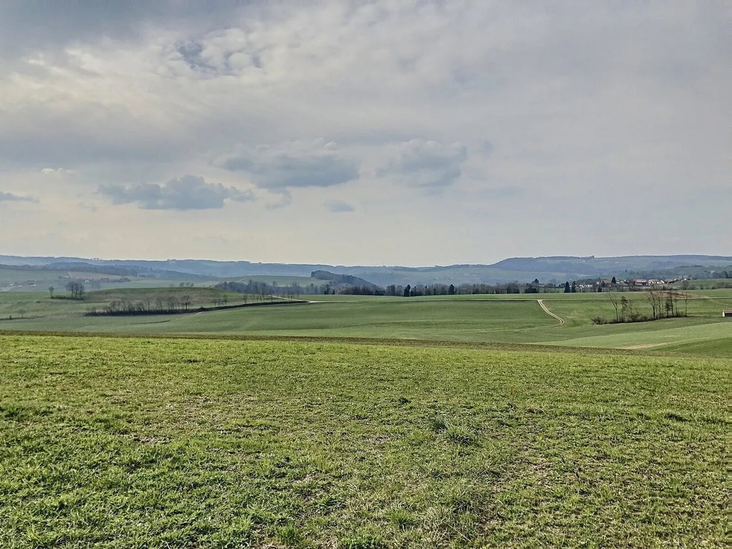 Appartamento in affitto - Foto 5 di 5