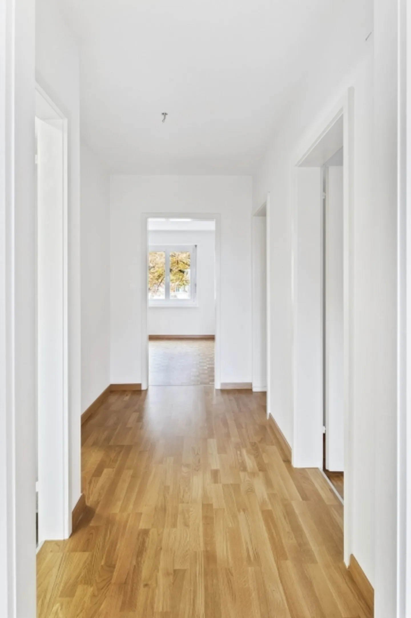 Temporary Apartment in Zurich - Limited until 31.12.2026 - Photo 4 of 4